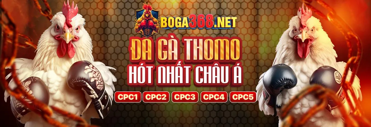 Sân vận động bóng đá với khán giả hò reo, biểu tượng của cá cược thể thao aog777 app
